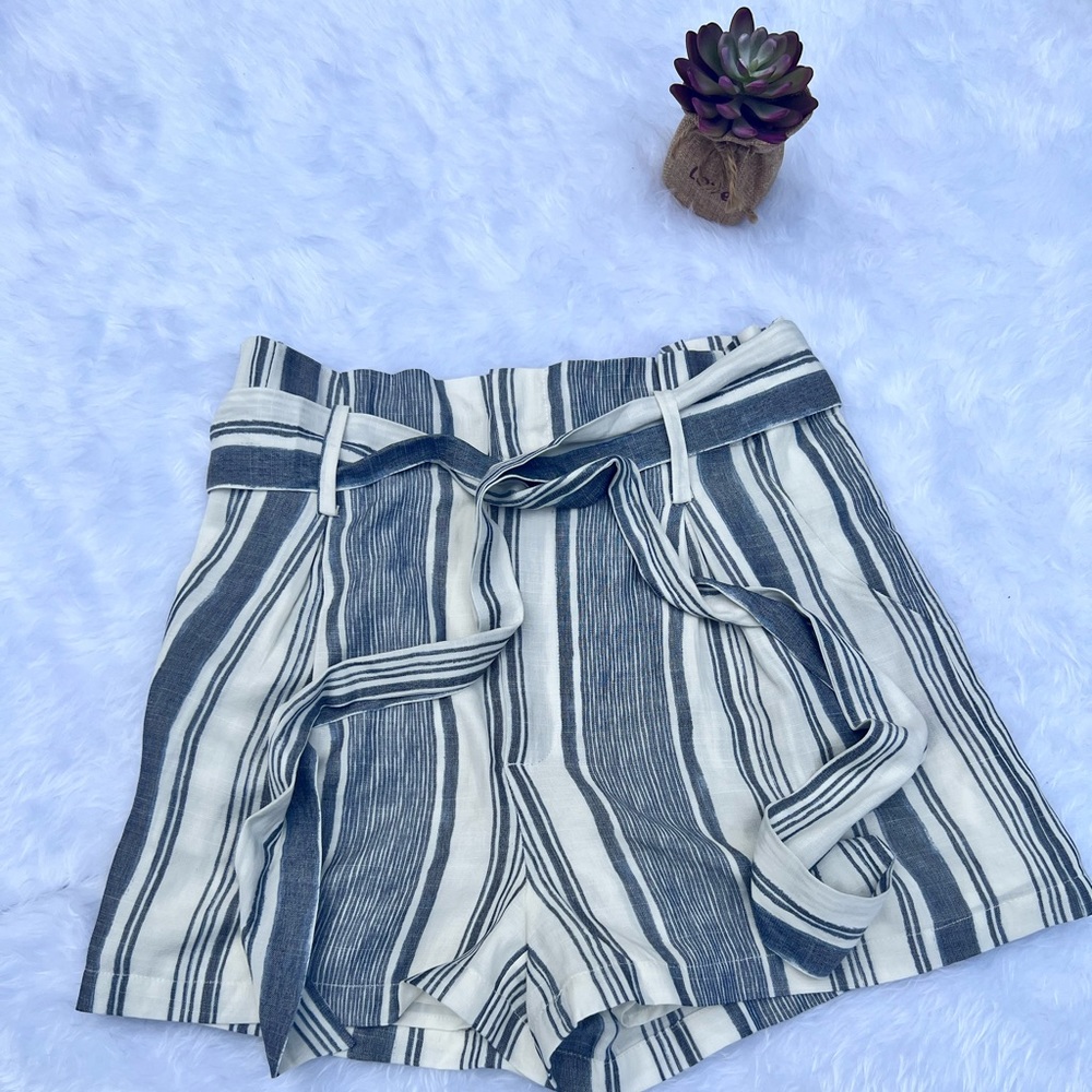 Naked Zebra Blue & White High Waist Striped Shorts